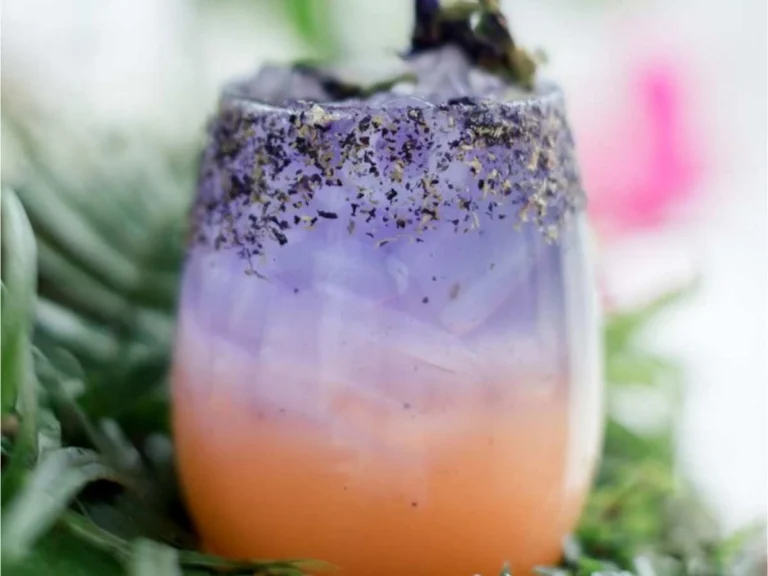 Elevate your Event: Why our Cocktail Catering Service is the one you Should Book